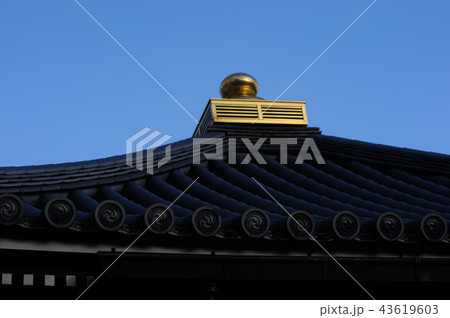 東京の神社 東京の神社 43619603