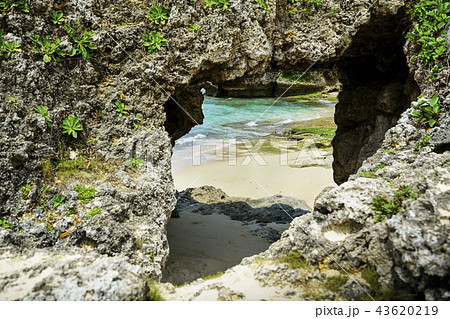 古字利島のチグヌ浜にある「始まりの洞穴」 古字利島のチグヌ浜にある「始まりの洞穴」 43620219