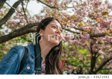 upward view of a charming femal in sakura upward view of a charming femal in sakura 43621083