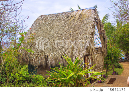 bure with thatched roof 43621175