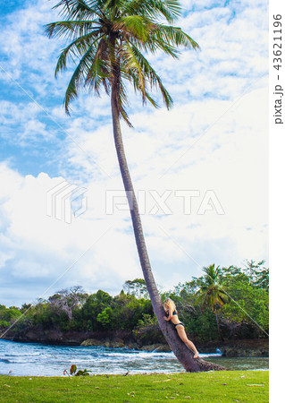 young girl hugging a palm tree young girl hugging a palm tree 43621196