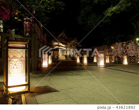 江の島灯籠 辺津宮 江島神社 江の島灯籠 辺津宮 江島神社 43621892