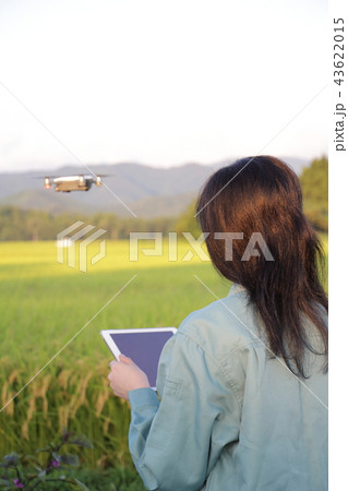 ドローンを操縦する女性 農業 活用 活躍 イメージ ドローンを操縦する女性 農業 活用 活躍 イメージ 43622015