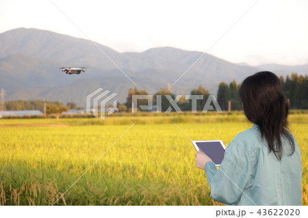 ドローンを操縦する女性 農業 活用 活躍 イメージ ドローンを操縦する女性 農業 活用 活躍 イメージ 43622020