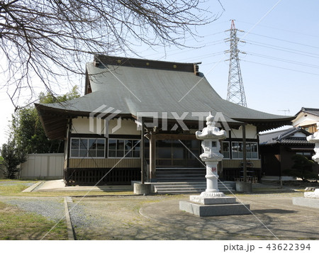 つくばみらい市の専称寺(本堂) つくばみらい市の専称寺(本堂) 43622394