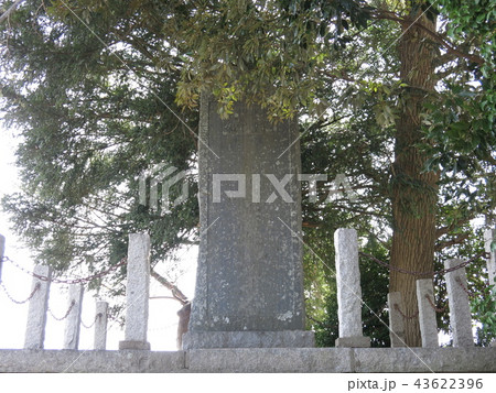 つくばみらい市の専称寺にある探検家・間宮林蔵の顕彰碑（間宮先生埋骨之處） 43622396