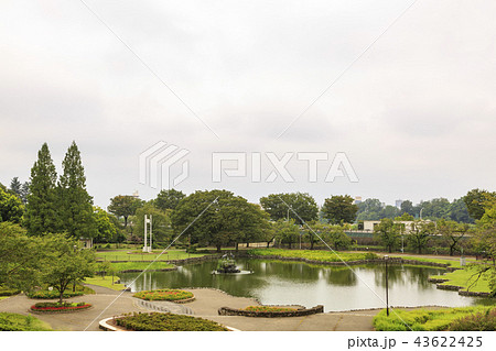 前橋公園　幸の池 43622425