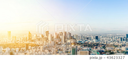 panoramic city skyline in Tokyo, Japan. tilt shift 43623327