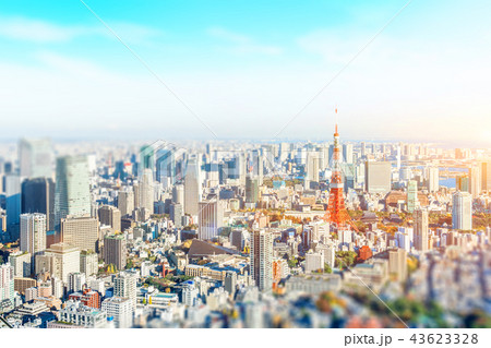 panoramic city skyline in Tokyo, Japan. tilt shift 43623328