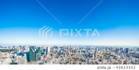 panoramic city skyline in Tokyo, Japan. tilt shift 43623332