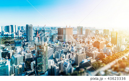 panoramic city skyline in Tokyo, Japan. tilt shift panoramic city skyline in Tokyo, Japan. tilt shift 43623336