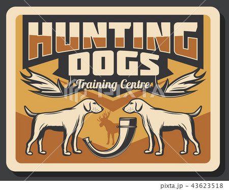 Hunting dogs, hunter horn and antler trophy poster Hunting dogs, hunter horn and antler trophy poster 43623518