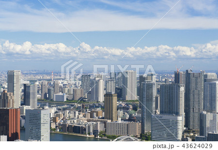 東京風景・湾岸エリアのタワーマンション群　勝どき　豊洲方面 43624029