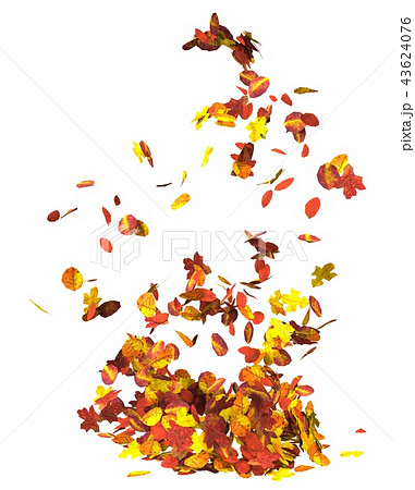Autumn leaves isolated on white background 3D illustration 43624076