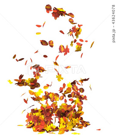 Autumn leaves isolated on white background 3D illustration 43624078