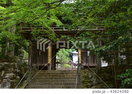 四国霊場88番大窪寺春の参門 四国霊場88番大窪寺春の参門 43624380
