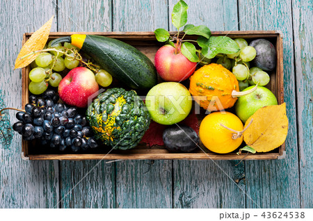 Beautiful autumn harvest 43624538