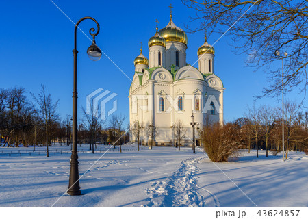 Cathedral of St. Catherine in winter. Pushkin Cathedral of St. Catherine in winter. Pushkin 43624857