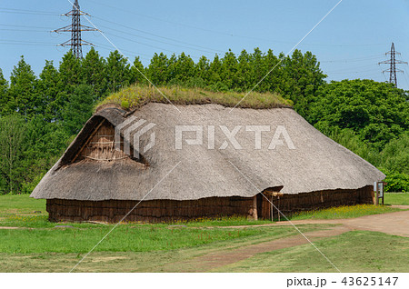 【青森県青森市】初夏の三内丸山遺跡は緑がまぶしい季節 【青森県青森市】初夏の三内丸山遺跡は緑がまぶしい季節 43625147