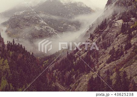 Fog in the mountains 43625238