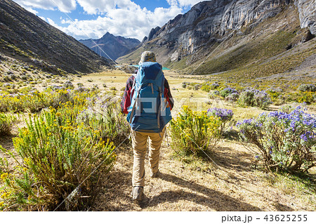 Hike in Peru 43625255