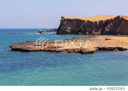 Paracas Paracas 43625263