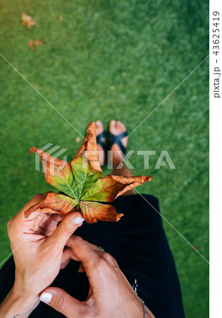 Woman hold nice yellow leaf in hand. 43625419