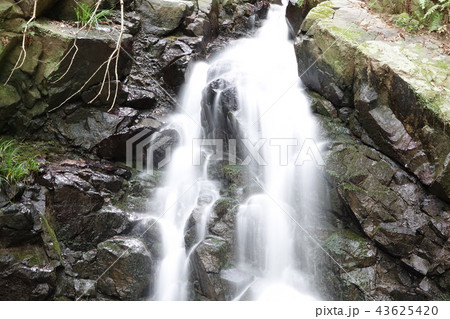 枚岡公園 43625420