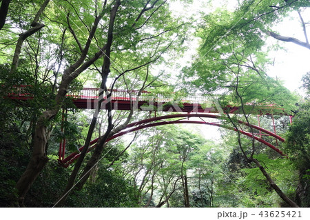枚岡公園 枚岡公園 43625421