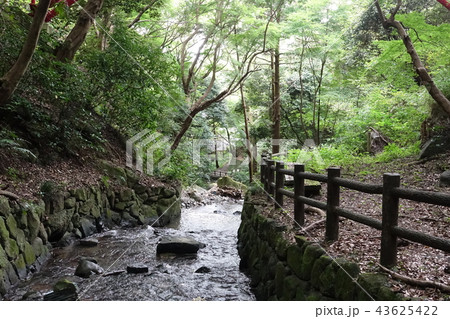 枚岡公園 枚岡公園 43625422