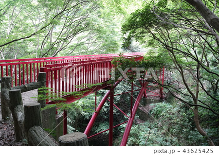 枚岡公園 枚岡公園 43625425