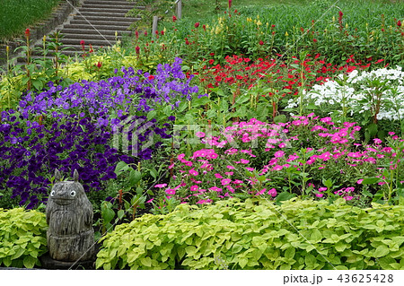 枚岡公園 枚岡公園 43625428