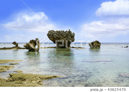 ピース浜 渡海浜  43625470