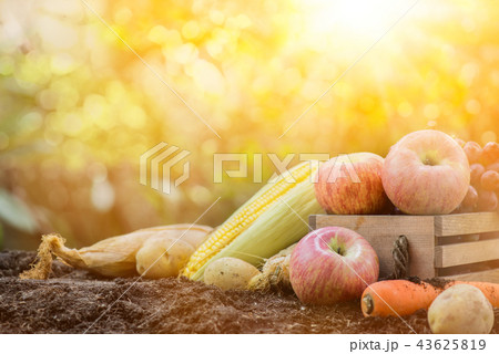 Fall harvest cornucopia. Autumn season with fruit 43625819