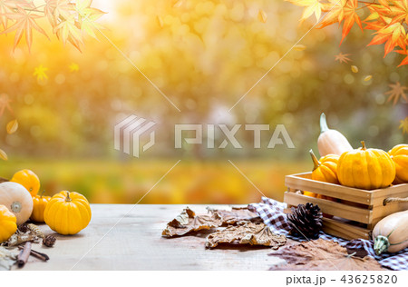 Thanksgiving with fruit and vegetable on wood Thanksgiving with fruit and vegetable on wood 43625820