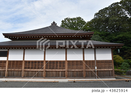浄見寺 大岡越前 浄見寺 大岡越前 43625914