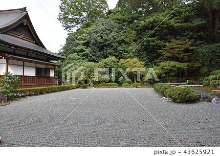浄見寺 大岡越前 浄見寺 大岡越前 43625921