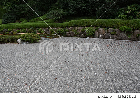 浄見寺　大岡越前　 43625923