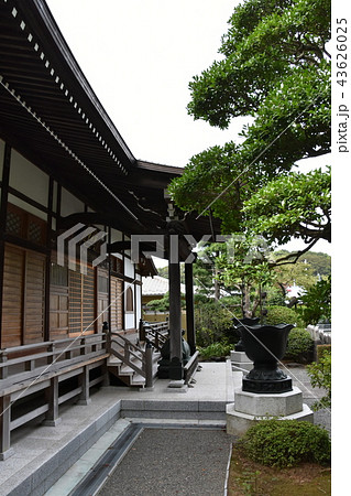 浄見寺　大岡越前　 43626025