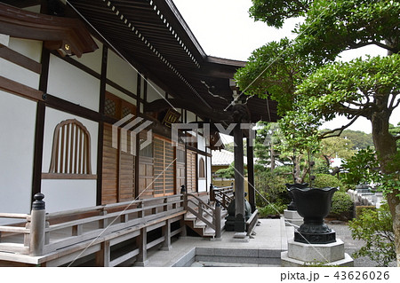 浄見寺　大岡越前　 43626026