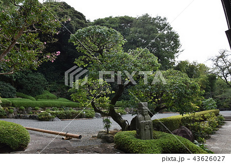 浄見寺 大岡越前 浄見寺 大岡越前 43626027