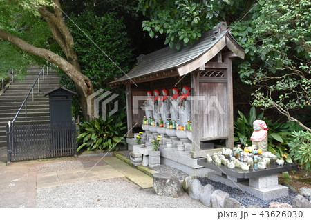 浄見寺 大岡越前 浄見寺 大岡越前 43626030