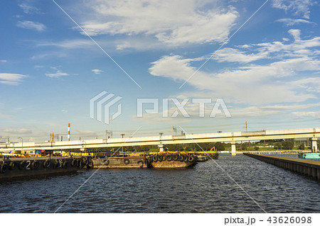 辰巳の森海浜公園から望む砂町運河の風景 43626098