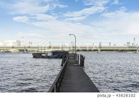 辰巳の森海浜公園から望む砂町運河の風景 43626102
