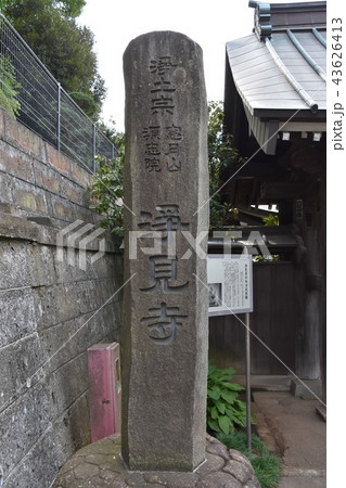 浄見寺　大岡越前　 43626413