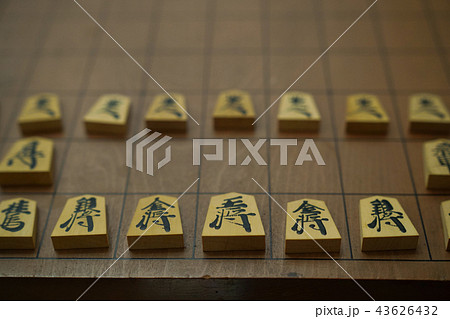 将棋 43626432