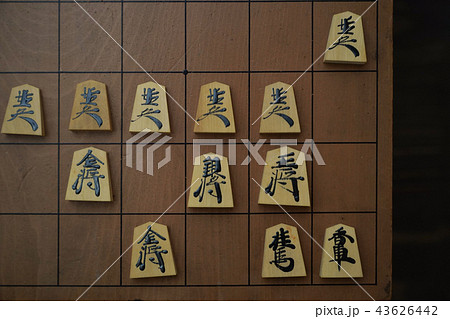 将棋 将棋 43626442