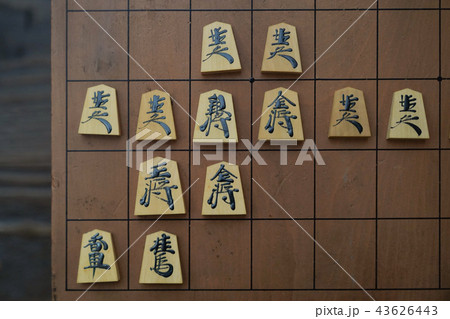 将棋 将棋 43626443