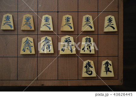 将棋 将棋 43626445