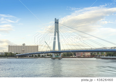 東雲運河の風景 辰巳桜橋の景観の写真素材 東雲運河の風景 辰巳桜橋の景観の写真素材